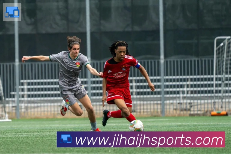 体育数据展示